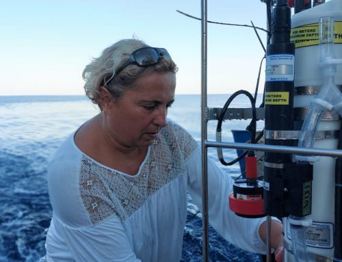 Profesorica s PMF-a Zrinka Ljubešić na Lastovu istražuje rijetki oceanografski fenomen