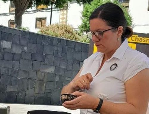 Motivalja Marina Šarčević uz pomoć HZZ-a otvorila obrt, a danas podučava izradi jedinstvene u svijetu slavonske sunčane čipke